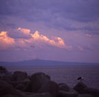 F20074703_07S
