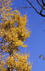 F20010801_13V