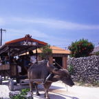 F20053303_05S