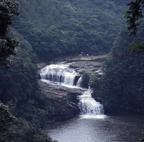 F20053403_11S