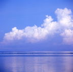 F20053409_05S