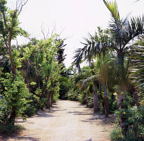 F20053411_06S