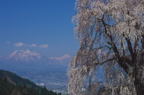 F20061701_08H