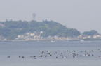 D2008065_006H