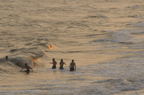 D2008086_008H