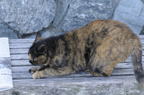 D2008139_004H
