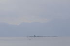 D2009004_036H