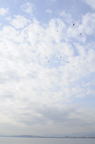 D2009006_041V