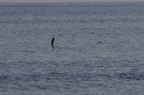 D2009060_024H