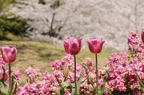 D2009068_048H