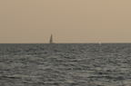 D2009079_077H