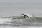 D2009100_033H