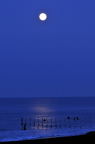 D2009119_011V