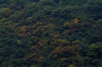 D2009144_043H