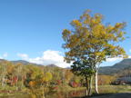 C20091015_043H