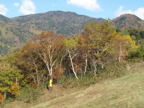 C20091015_066H