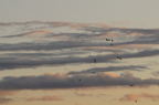 D2009153_062H