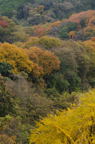 D2009170_034V