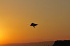 D2010003_028H