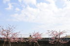 D2010014_012H
