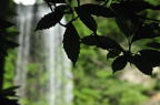 D2010045_012H