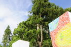 D2010048_003H