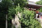 D2010048_005H