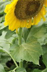 D2010049_022V