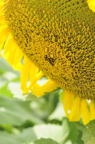 D2010050_005V