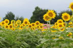 D2010050_030H