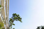 D2010053_010H