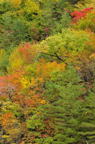 D2010060_041V