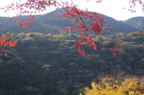D2010064_005H