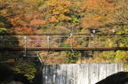 D2010066_040H