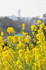 D2011003_025V
