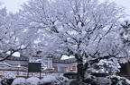 D2011004_050H
