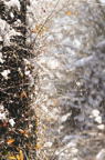 D2011005_004V