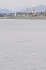 D2011007_024V