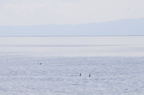 D2011007_032H