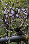 D2011015_032V