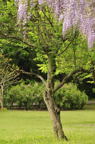 D2011017_075V