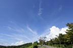 D2011029_031H