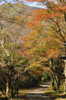 D2011048_012V