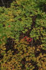 D2011051_032V