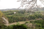 D2012021_005H