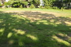 D2012051_023H