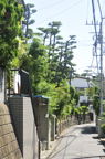 D2012050_031V