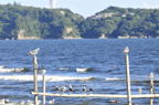 D2012058_068H