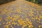 D2012087_018H