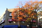 D2012088_007H